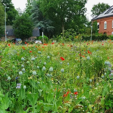 Appartement In Paradise Garden *