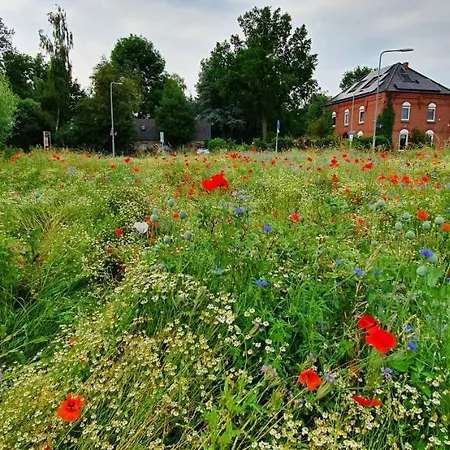 In Paradise Garden * Velden
