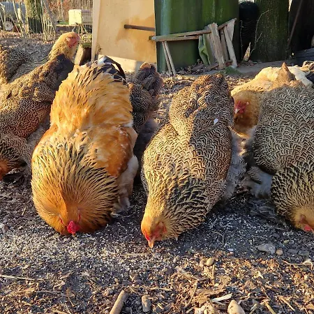 Appartement In Paradise Garden *