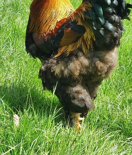 In Paradise Garden アパート Velden