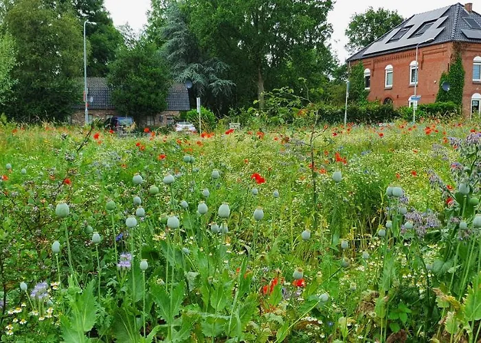 Апартаменты In Paradise Garden *