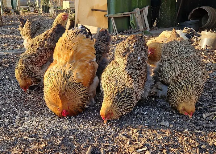 アパート In Paradise Garden *