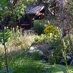 In Paradise Garden *