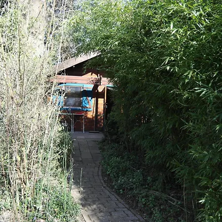 In Paradise Garden דירה *